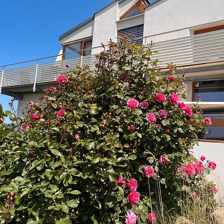Ferienwohnungen Im Rosengarten Ludwigshafen am Bodensee Kültér fotó