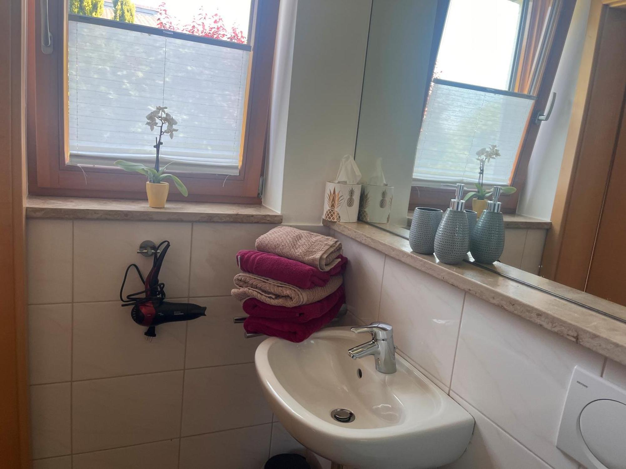 Ferienwohnungen Im Rosengarten Ludwigshafen am Bodensee Kültér fotó